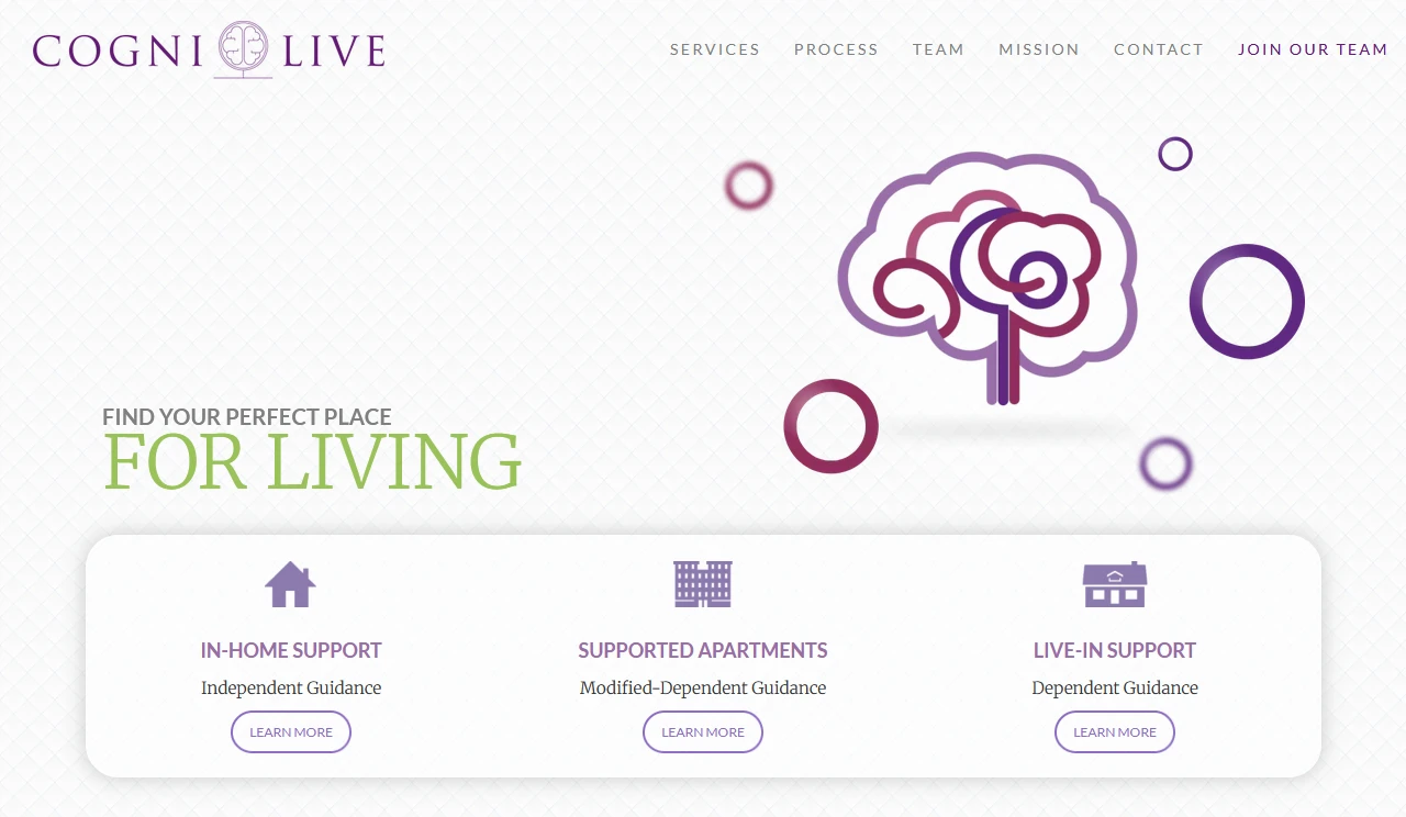 CogniLive HealthTech digital platform preview